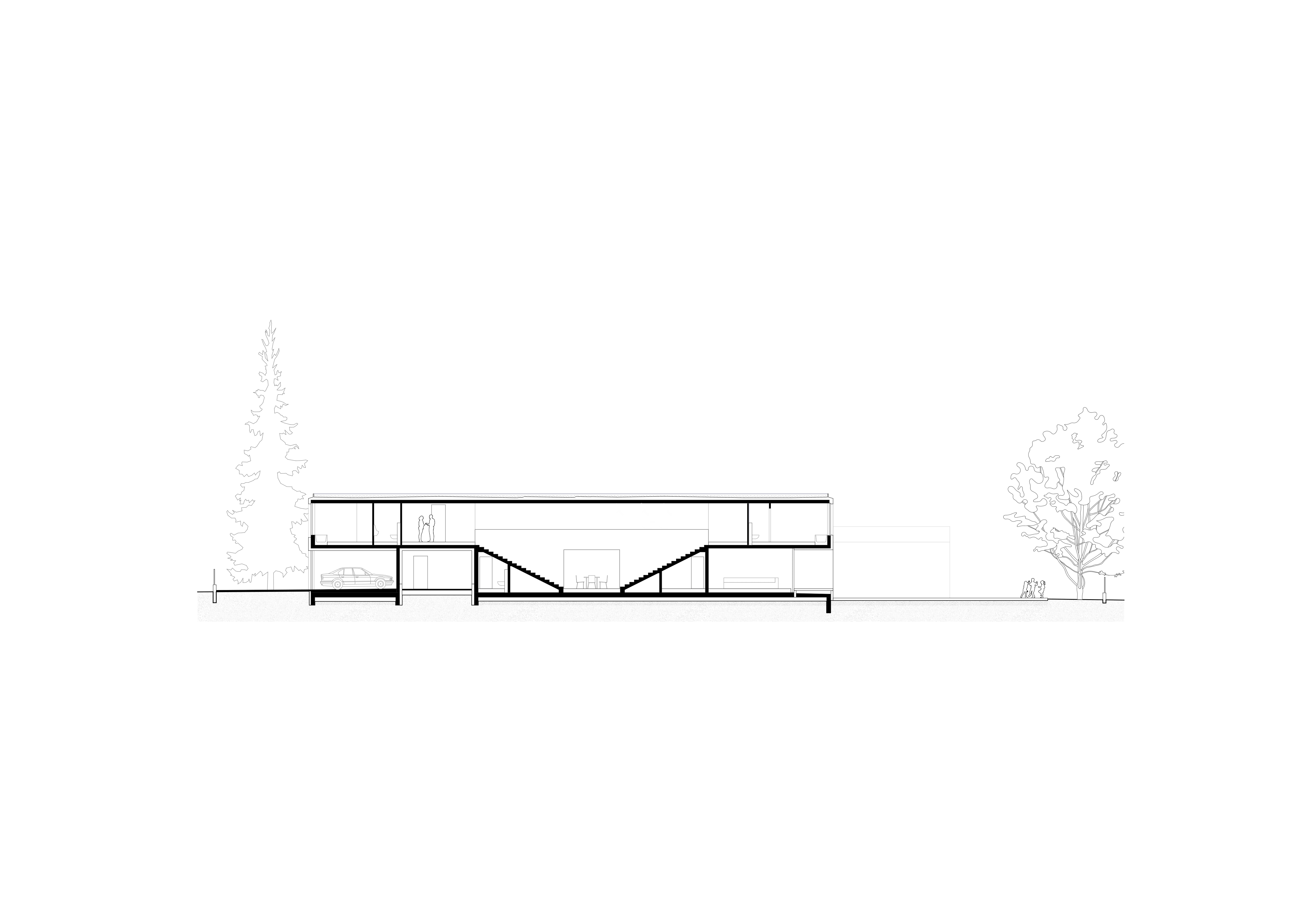 07 HAID PLAN DG